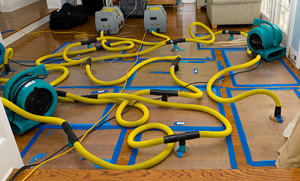 Professional Structural Drying And Dehumidification technician working in Eldorado, TX
